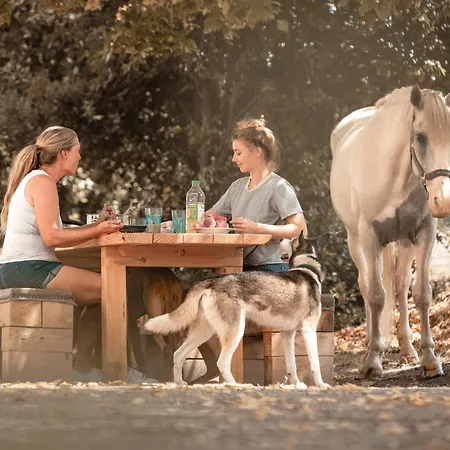 Communication Cheval